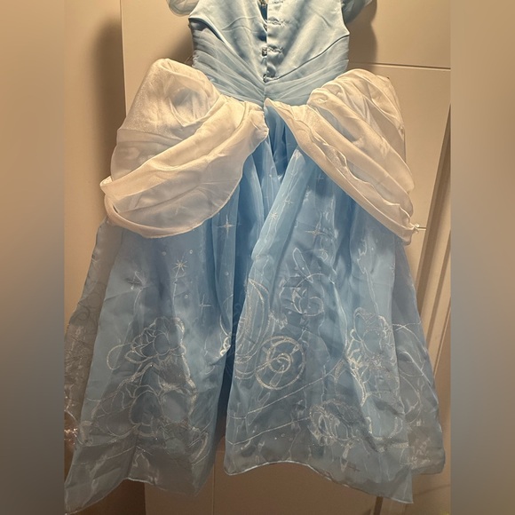 Cinderalla dress - Picture 5 of 5